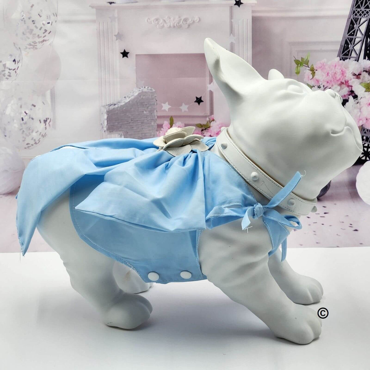DRESS FOR FEMALE DOGS
