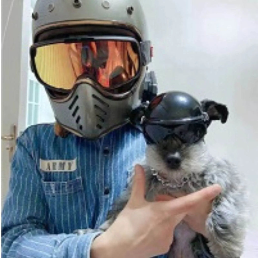 A person wearing a gray motorcycle helmet with reflective gold-tinted goggles and a blue striped shirt holds a small gray dog wearing a black helmet and goggles.