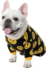 French Bulldog in smiley sweater